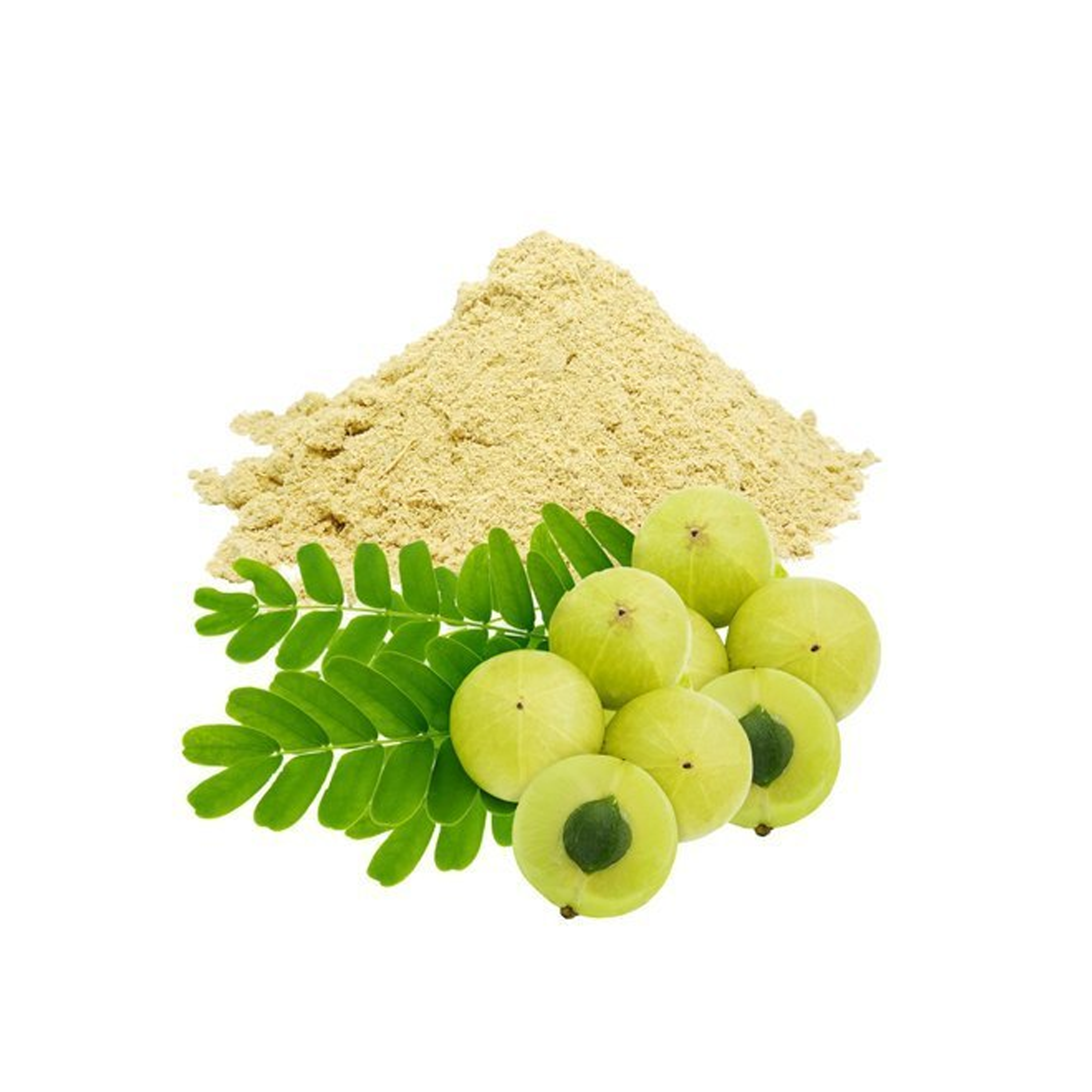 Basil Oil in India