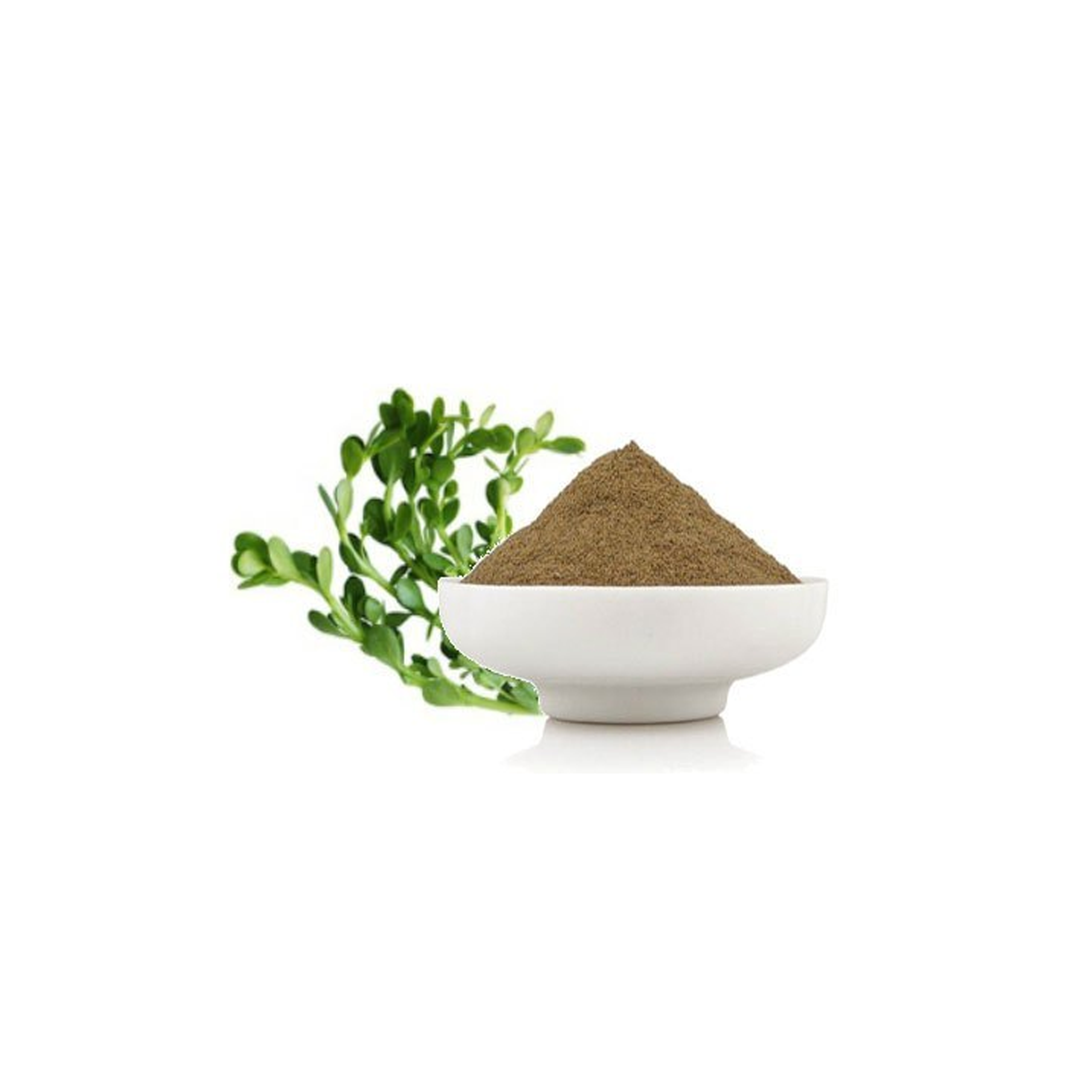 Basil Oil in India