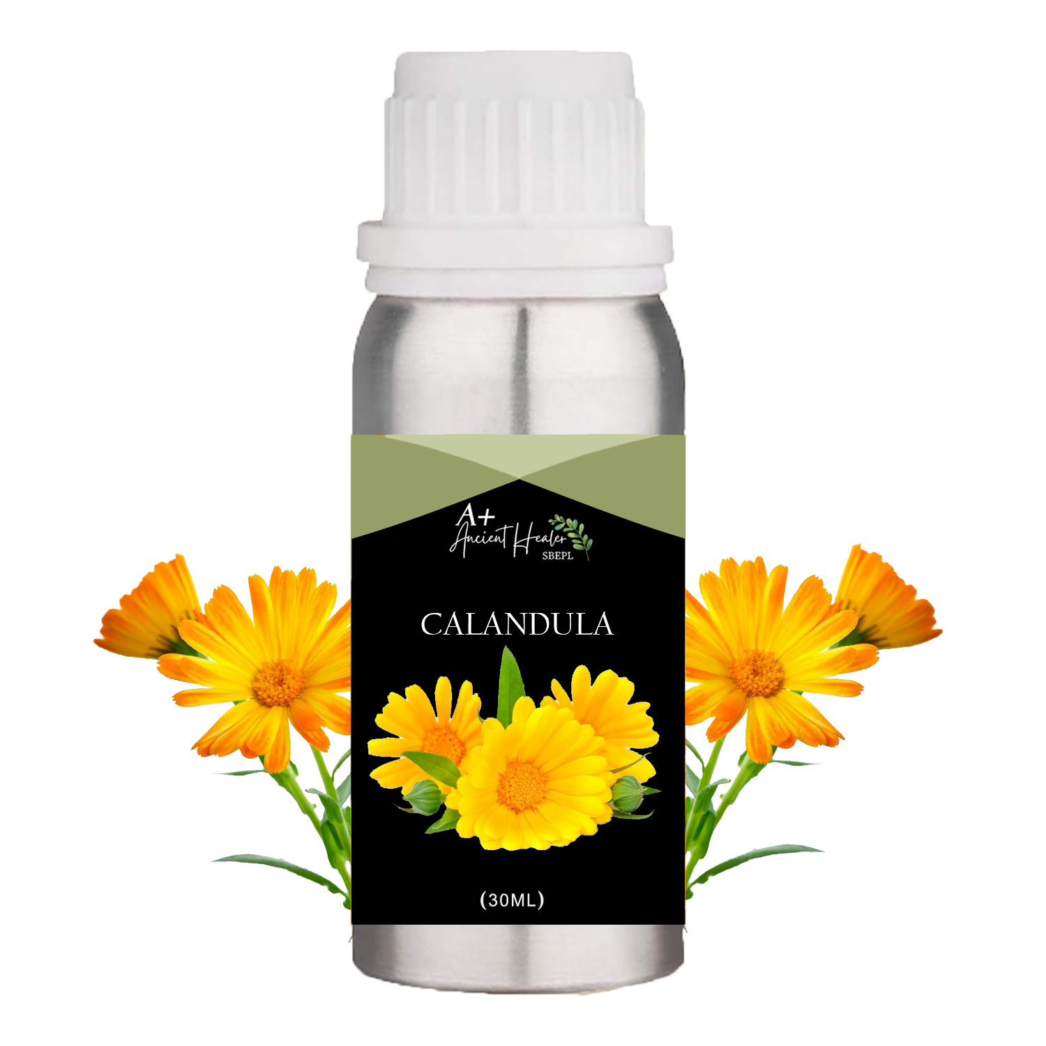 Basil Oil in India