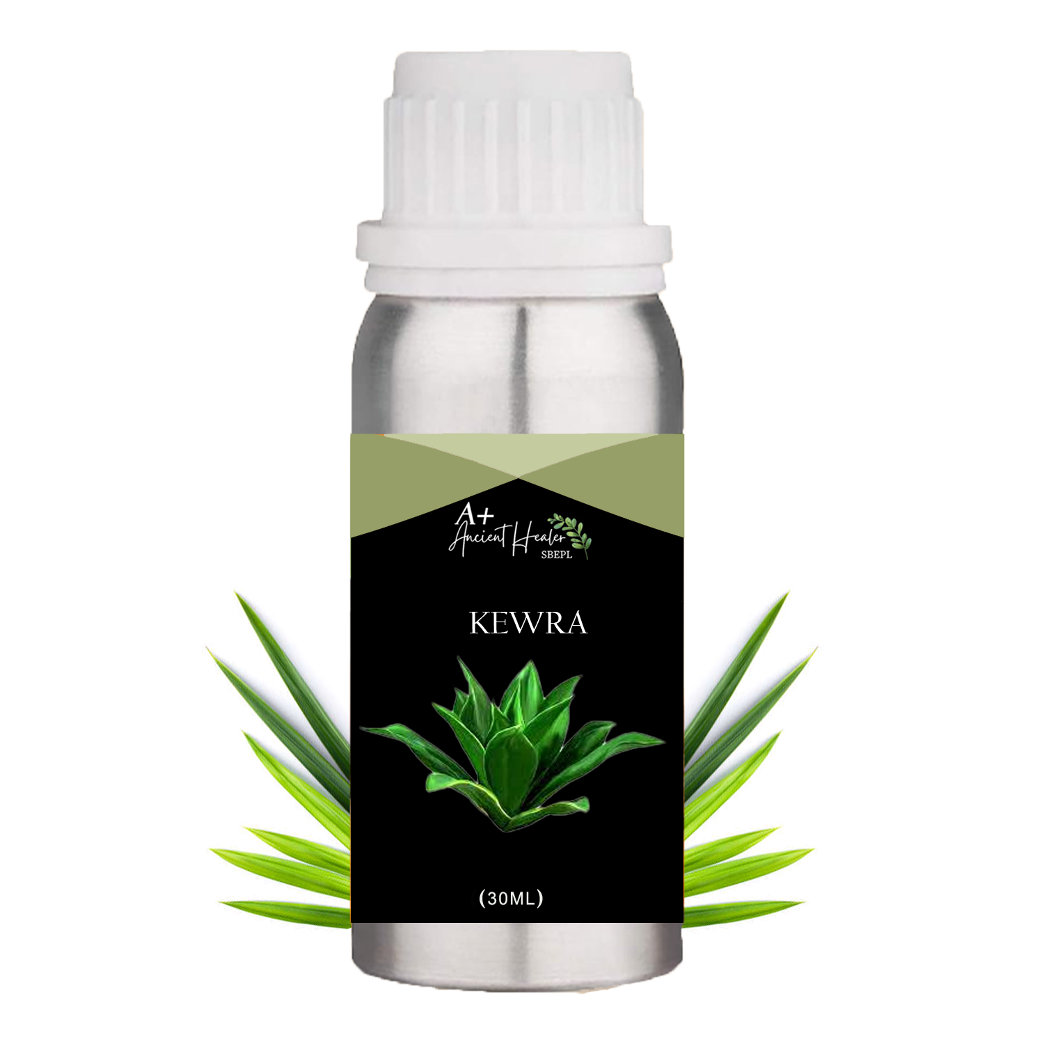 Basil Oil in India