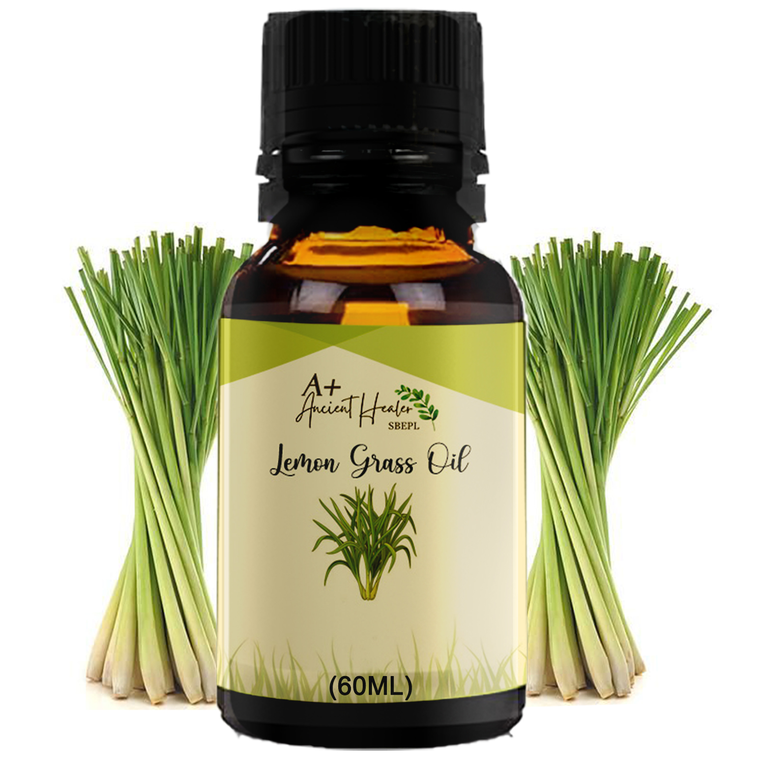 Basil Oil in India