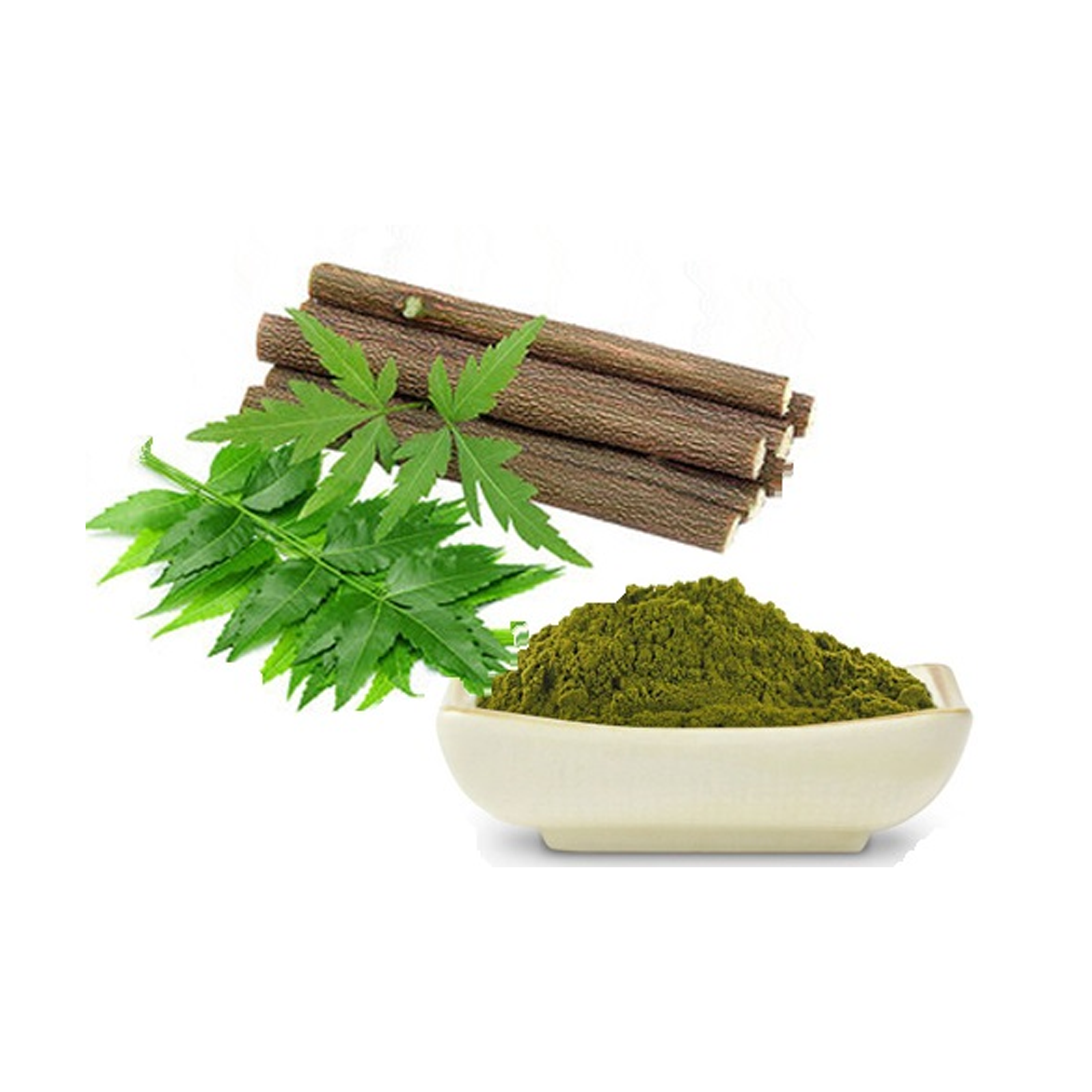 Basil Oil in India