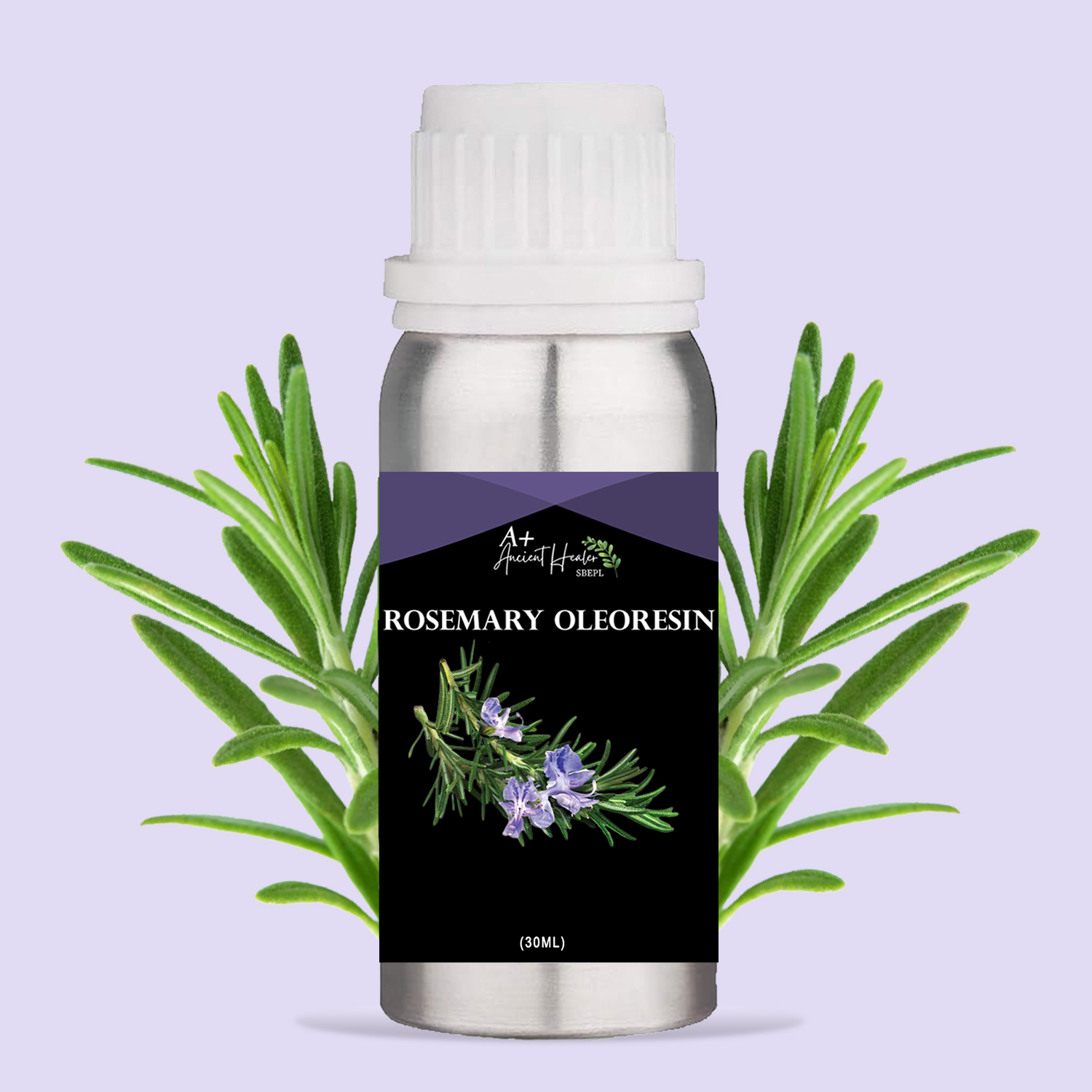 Basil Oil in India
