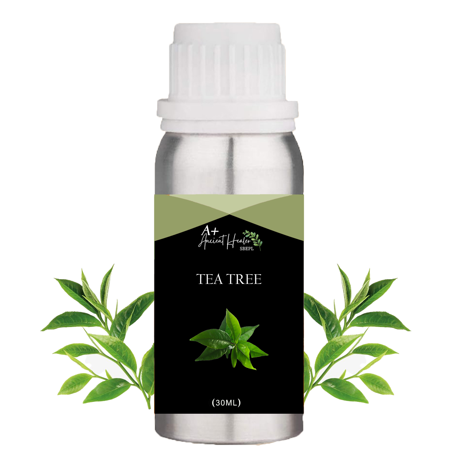 Basil Oil in India
