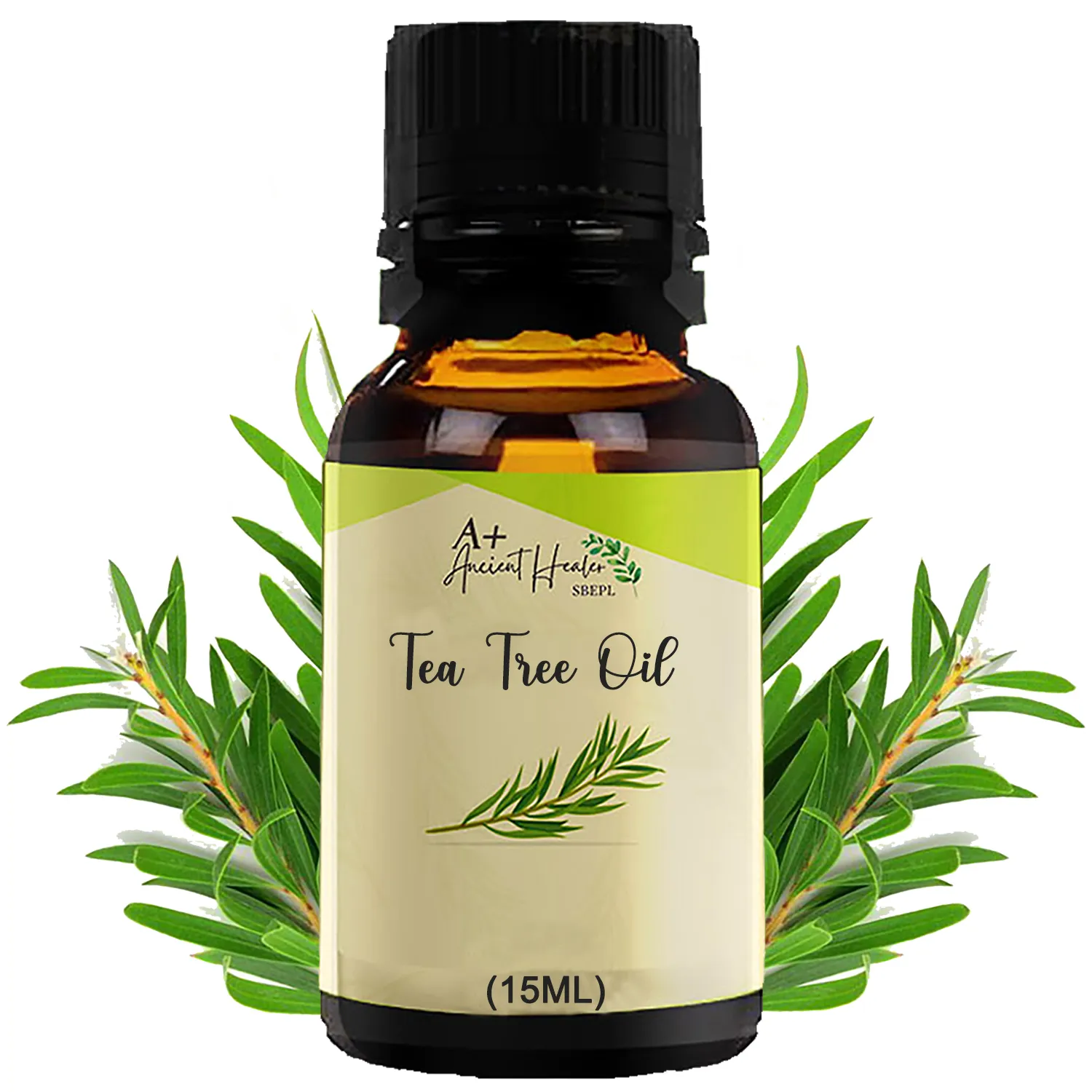 Basil Oil in India