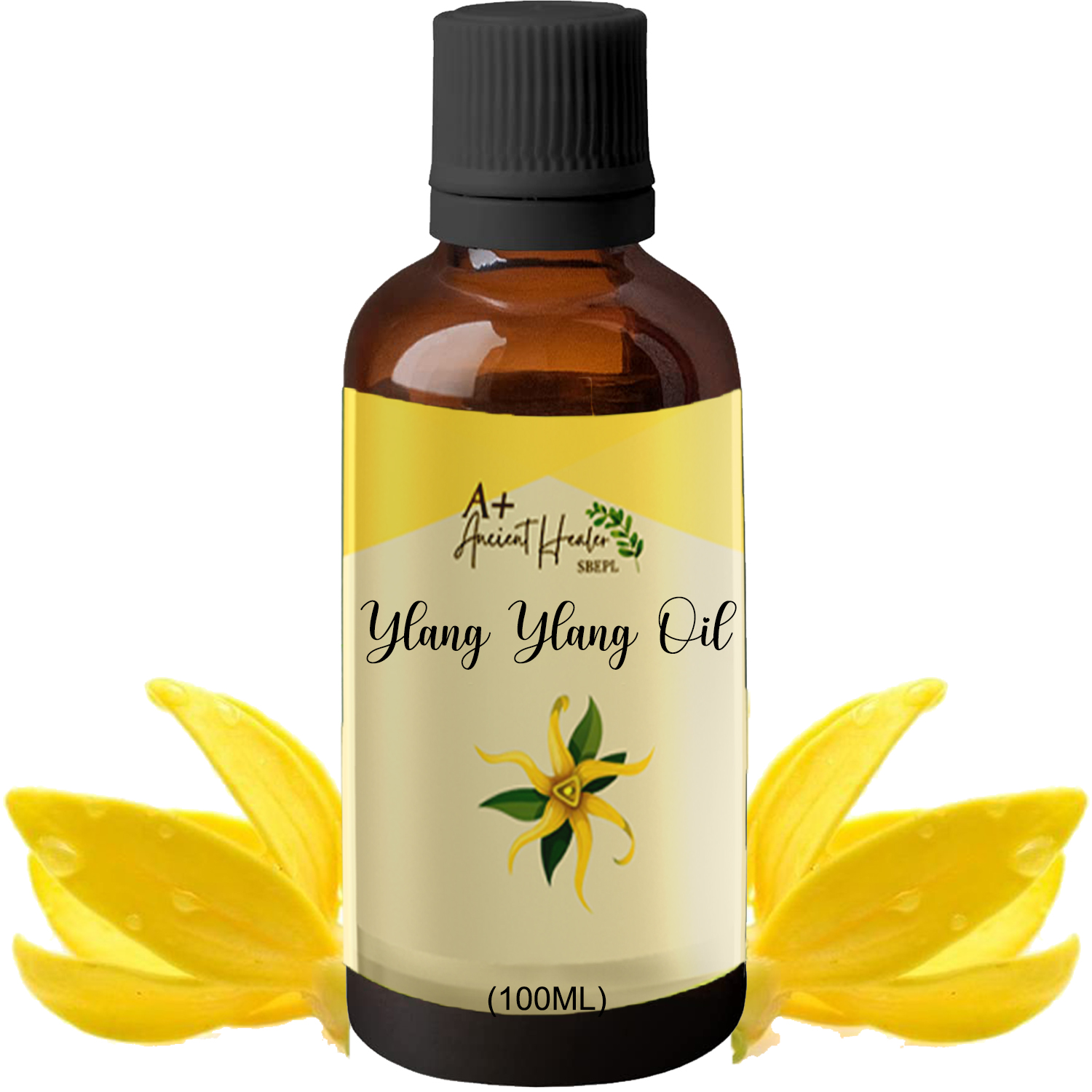 Basil Oil in India